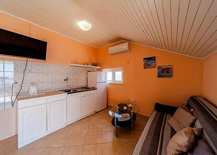 House With Pool Maja Holiday home *